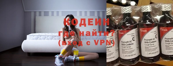 крисы Абаза