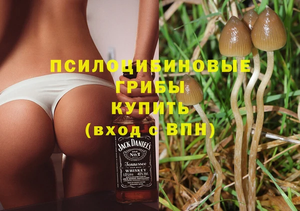 PSILOCYBIN Абдулино