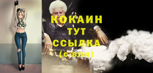 крисы Абаза