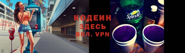 крисы Абаза
