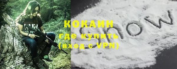 PSILOCYBIN Абдулино