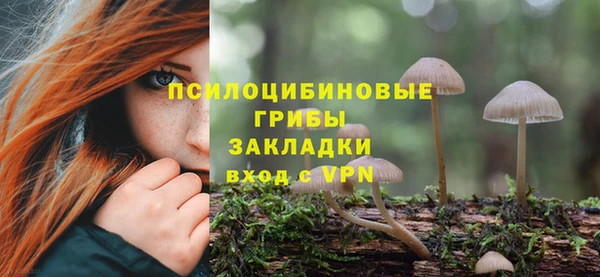 крисы Абаза