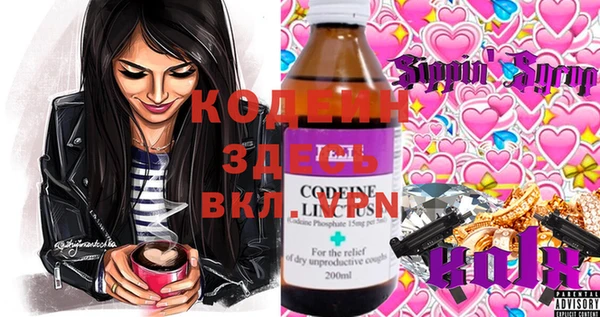 крисы Абаза