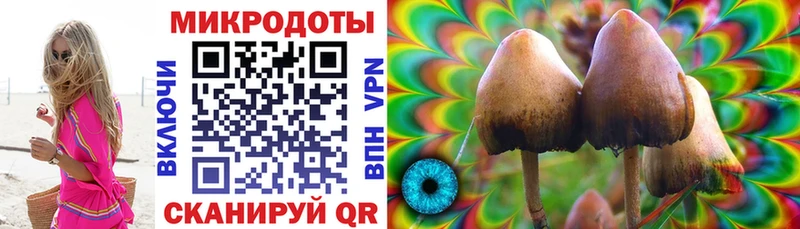 где найти   Балаково  Псилоцибиновые грибы мицелий 